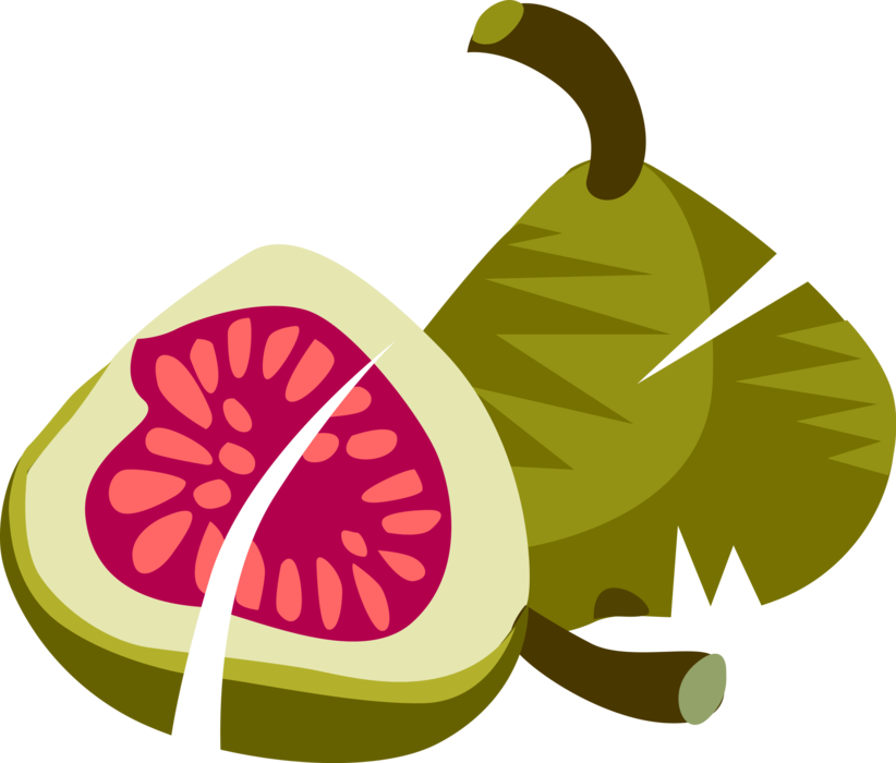 Green Fig Transparent PNG Image
