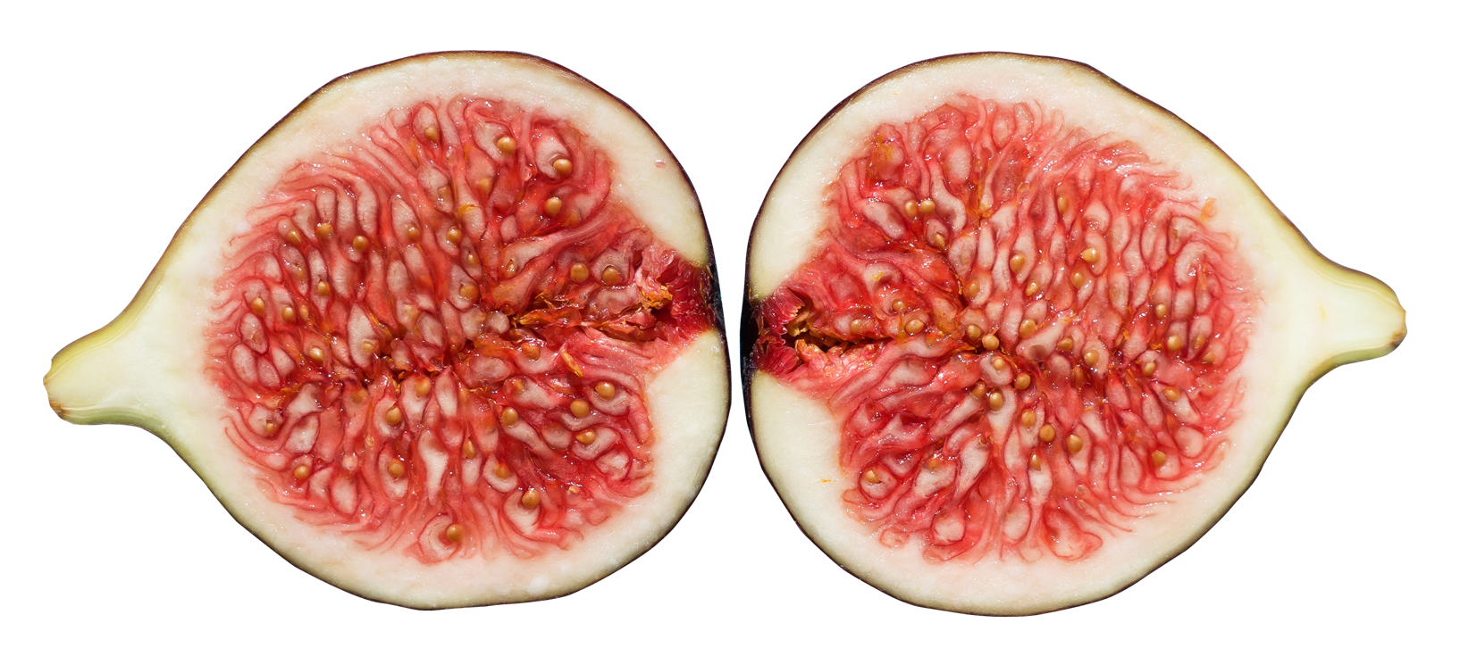 Fig Half File Transparent PNG Image