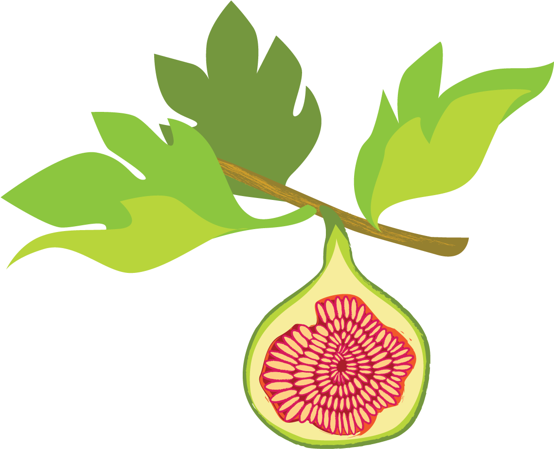 Leaves Fig Transparent PNG Image