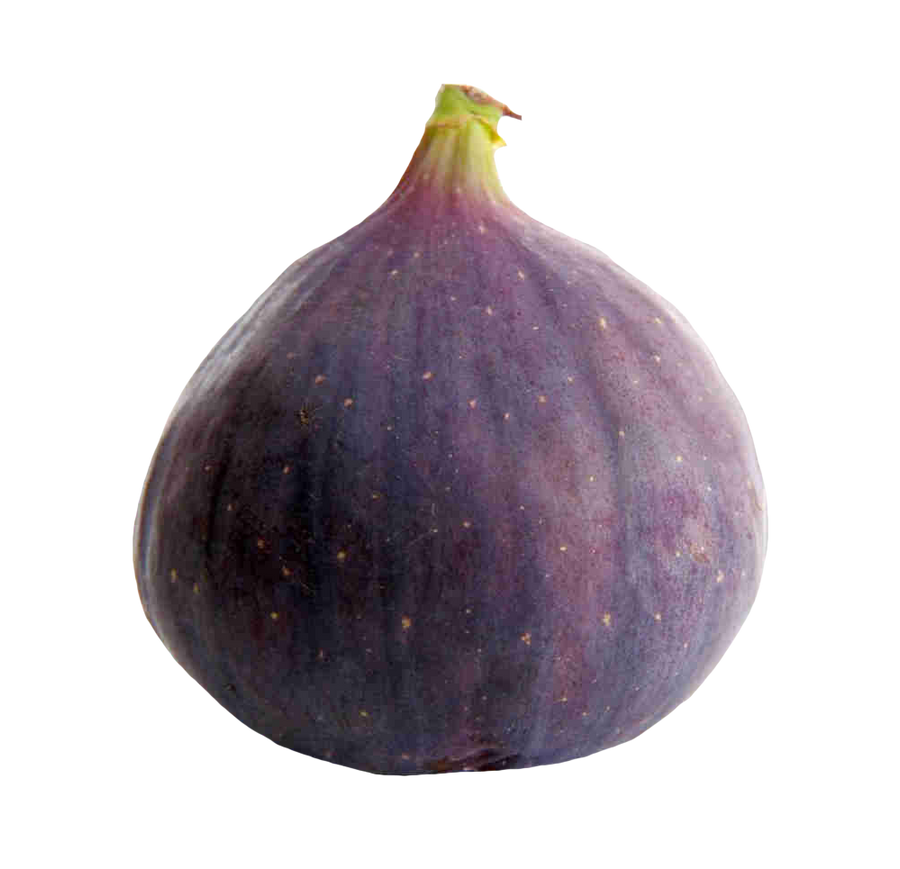 Fresh Fig Transparent PNG Image
