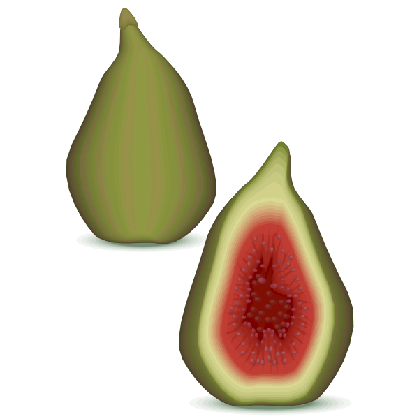 Cut Fig Half File Transparent PNG Image