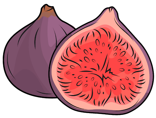 Purple Cut Fig Half Transparent PNG Image