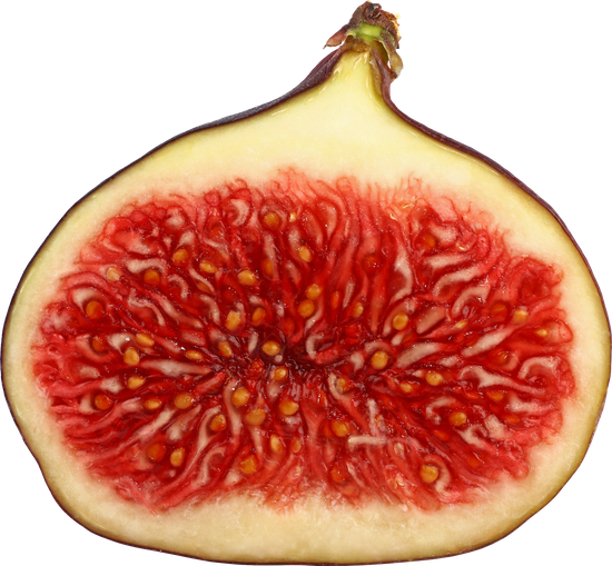 Real Cut Fig Half Transparent PNG Image