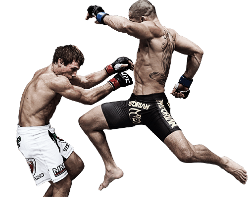 Fight Transparent PNG Image