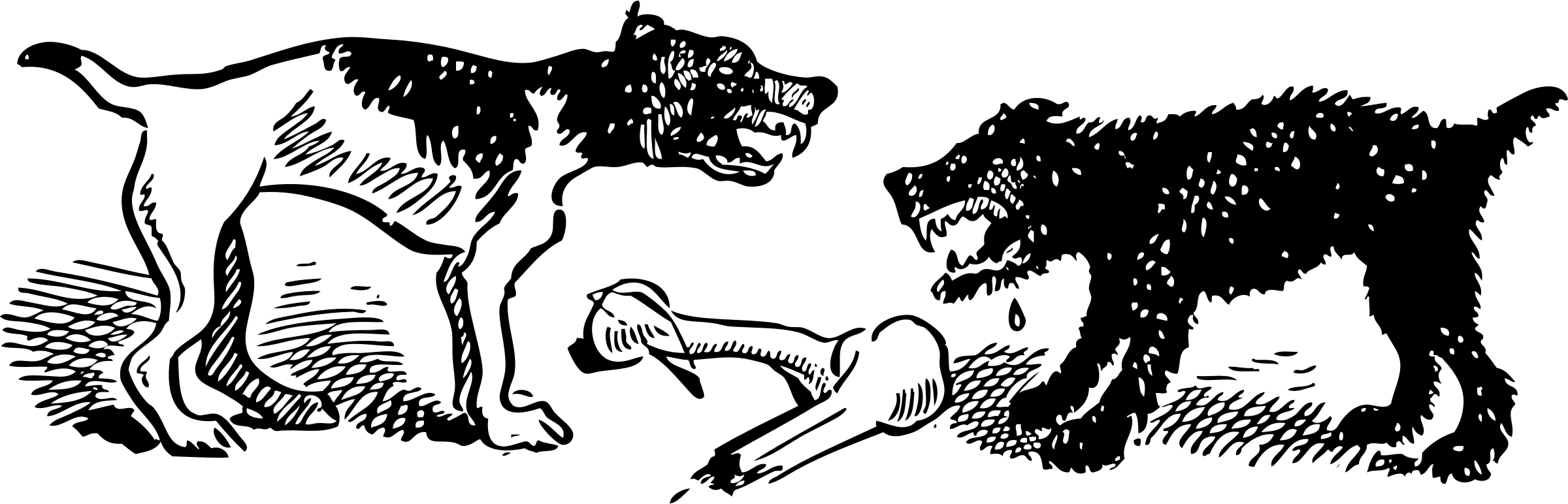 Fight Transparent PNG Image