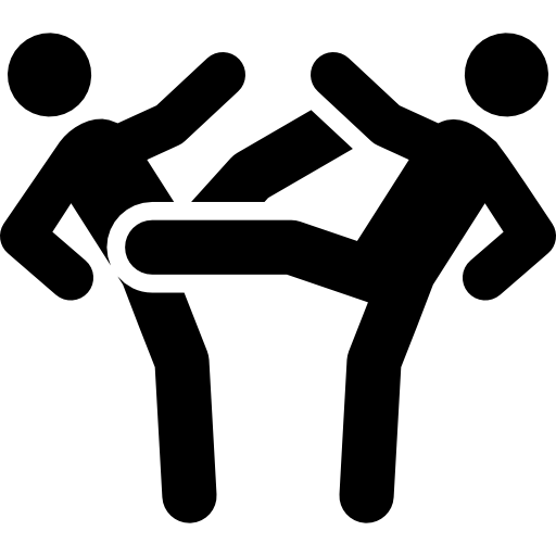 Fighting Transparent PNG Image