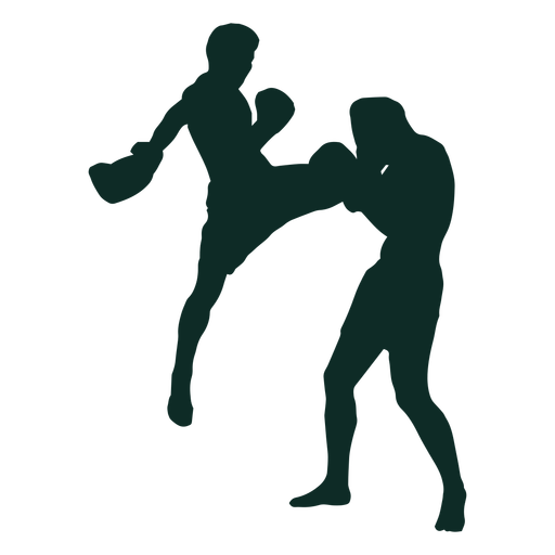 Fighting Transparent PNG Image