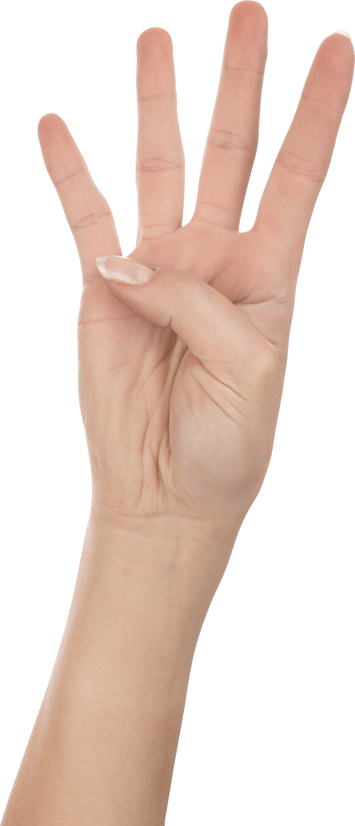 Four Fingers Transparent PNG Image