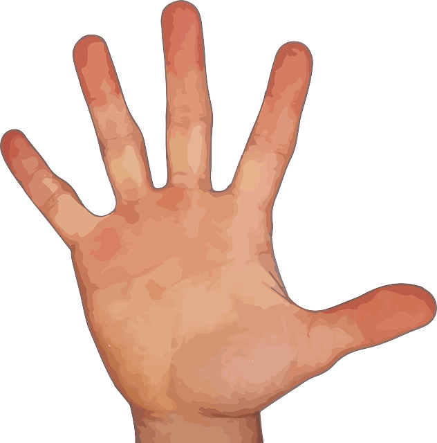 Five Fingers Transparent PNG Image