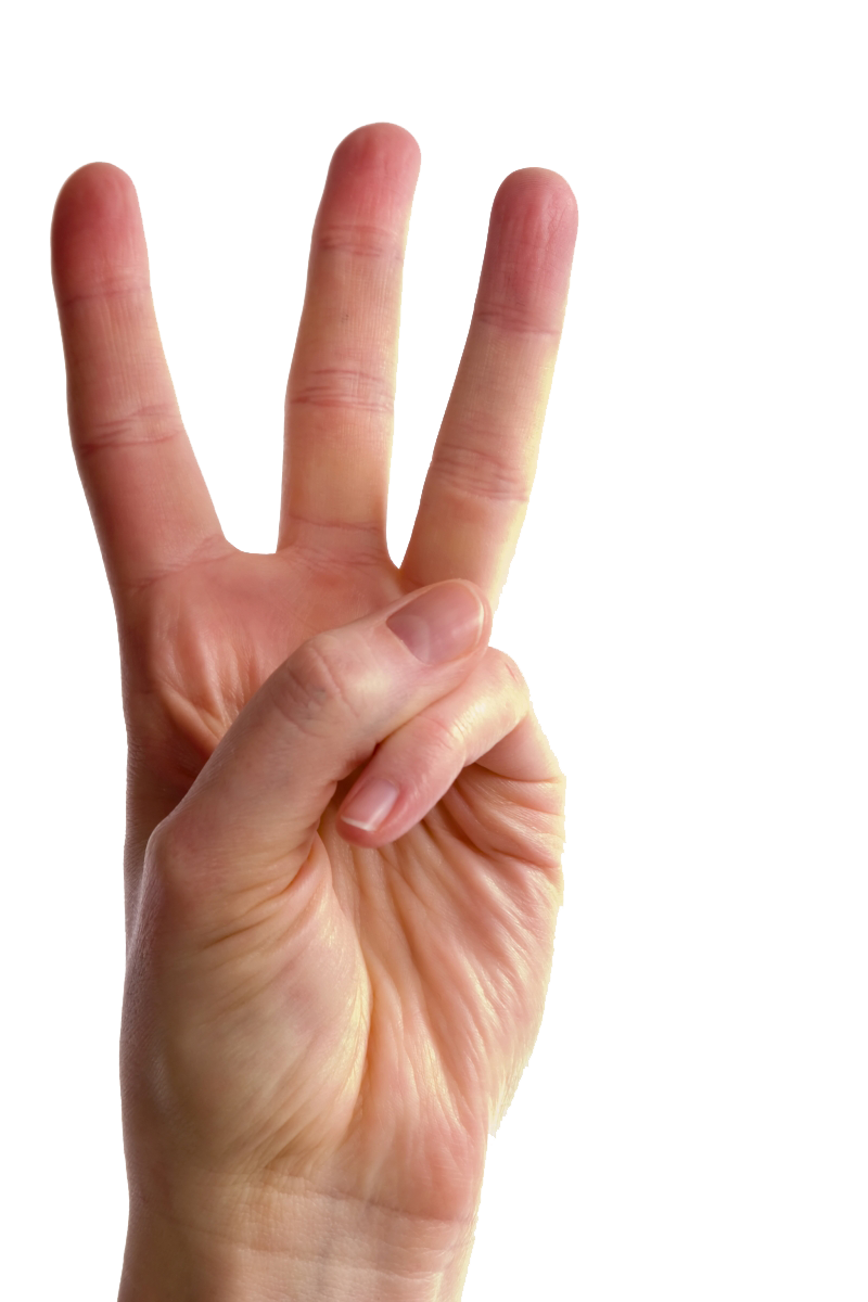Fingers Transparent PNG Image