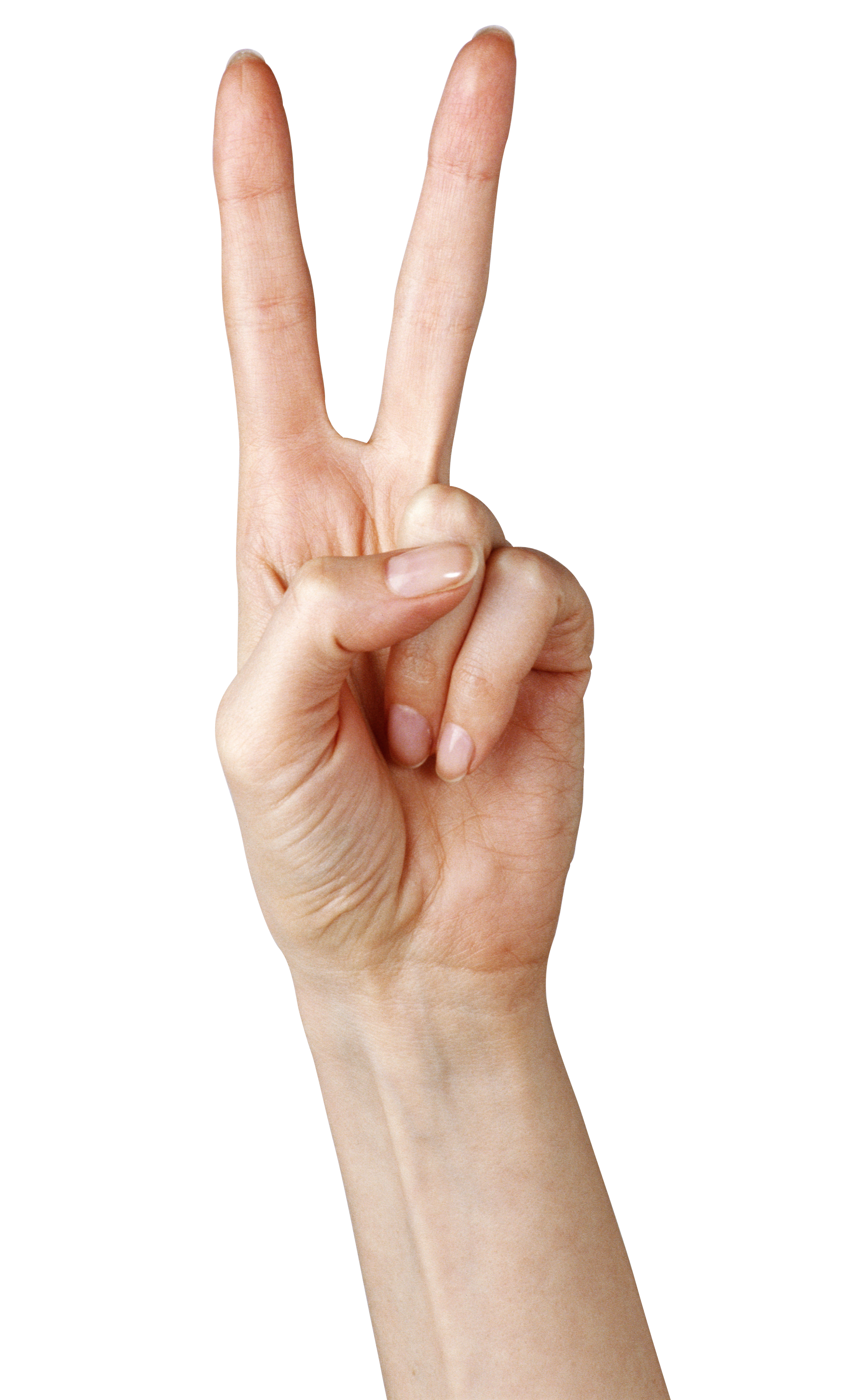 Fingers Transparent PNG Image