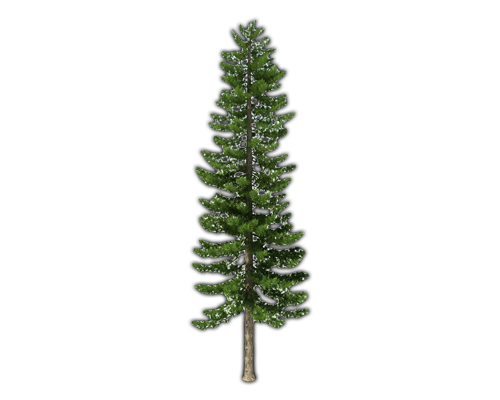 Fir-Tree File Transparent PNG Image
