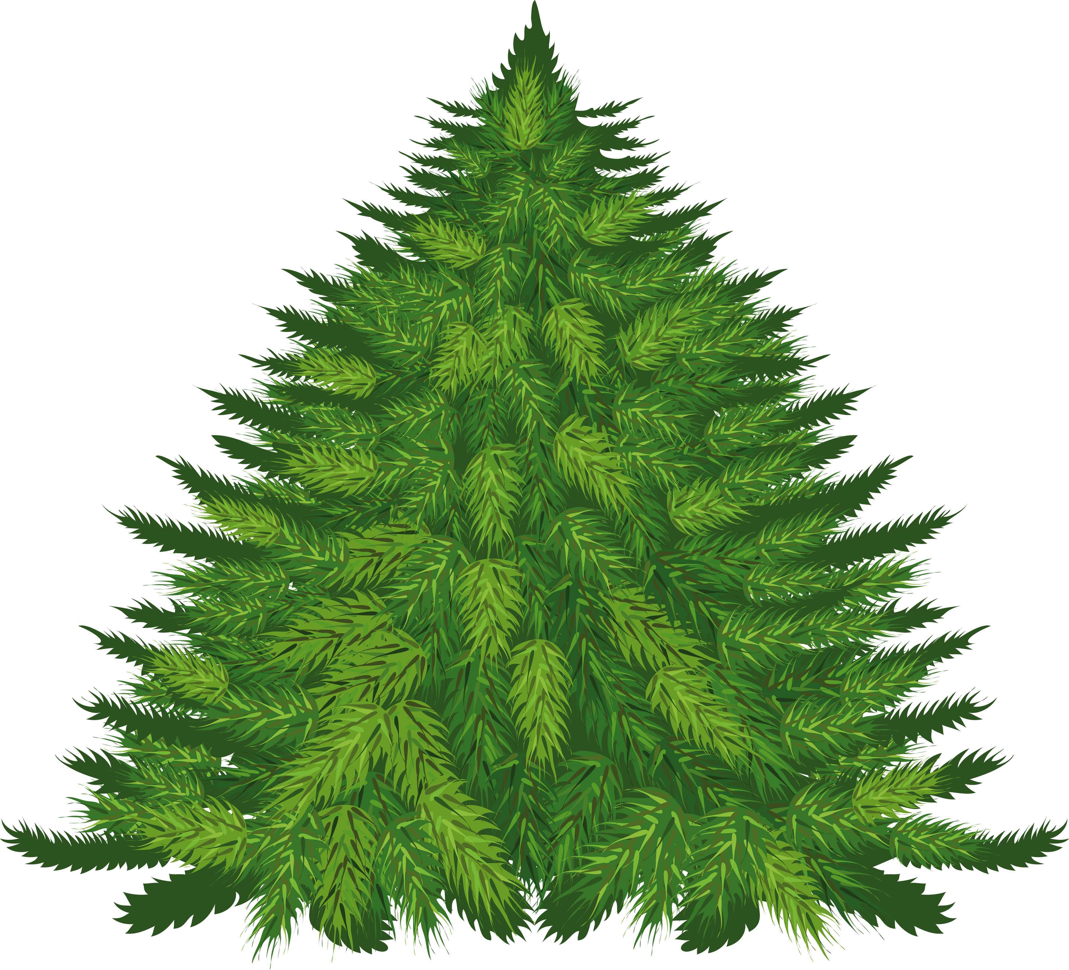 Fir-Tree Transparent PNG Image