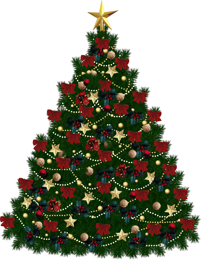 Fir-Tree Transparent PNG Image