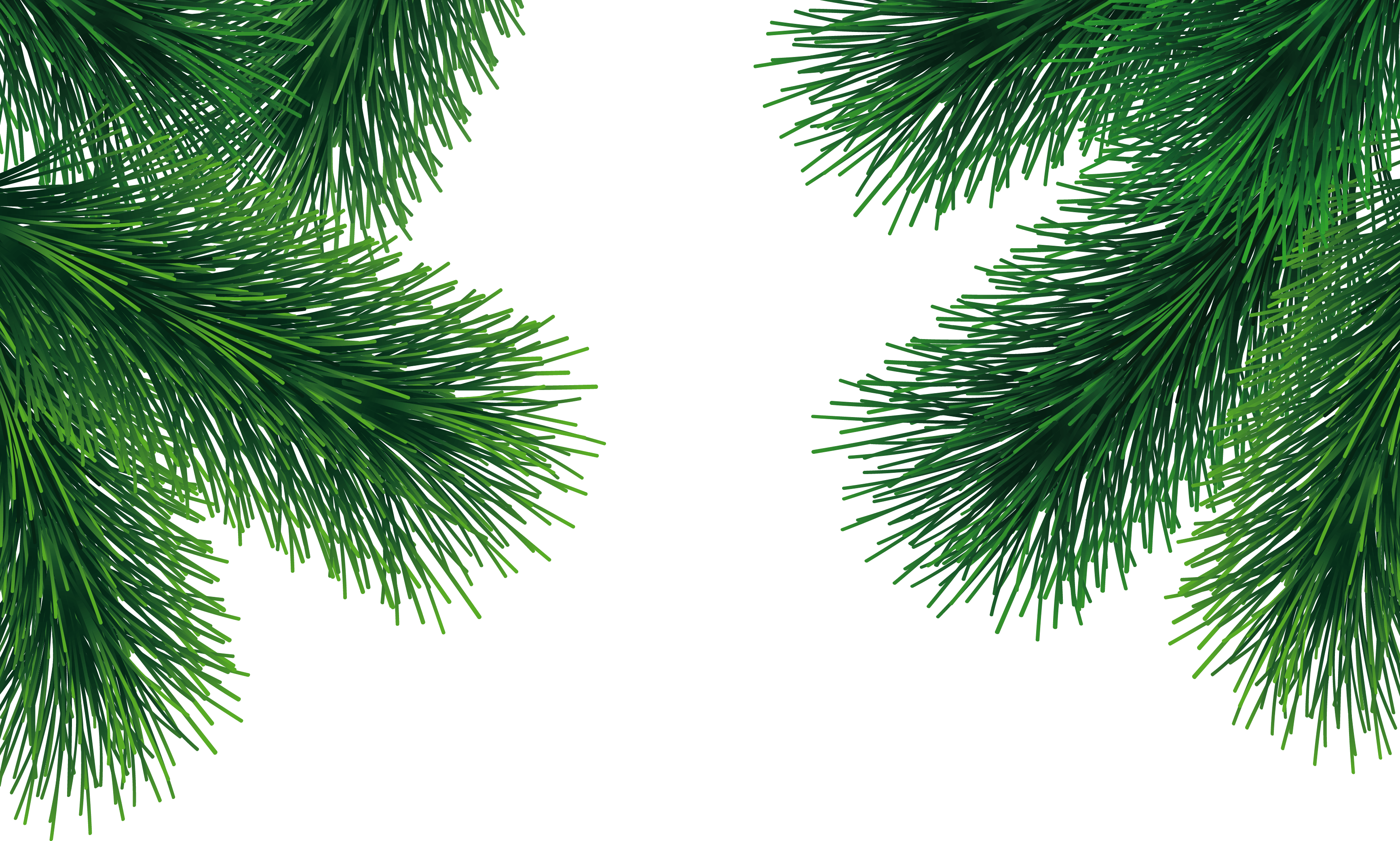 Fir-Tree Transparent PNG Image