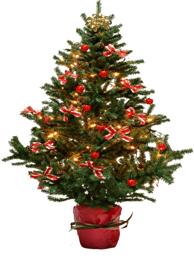 Christmas Fir-Tree Transparent PNG Image