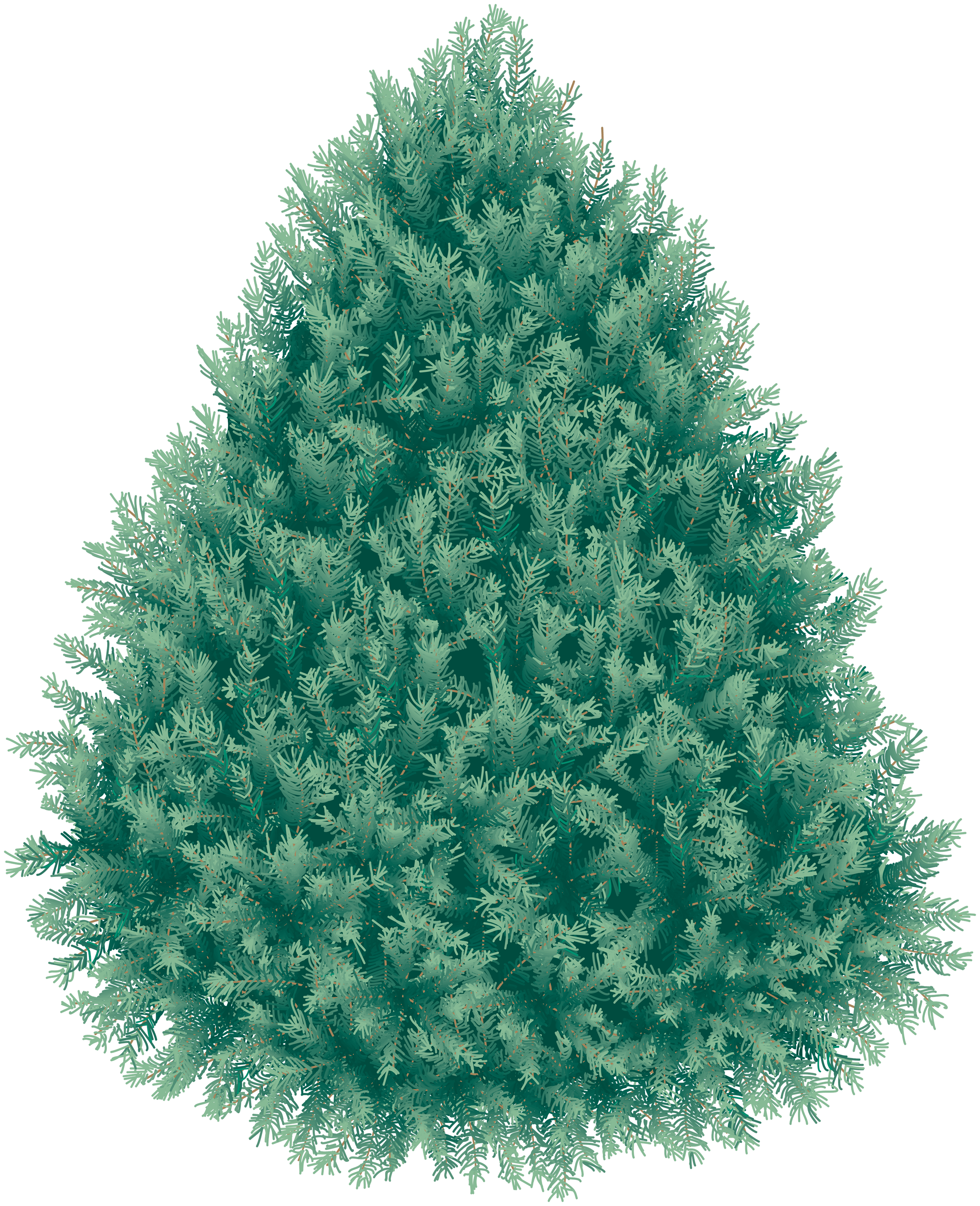 Fir-Tree Transparent PNG Image