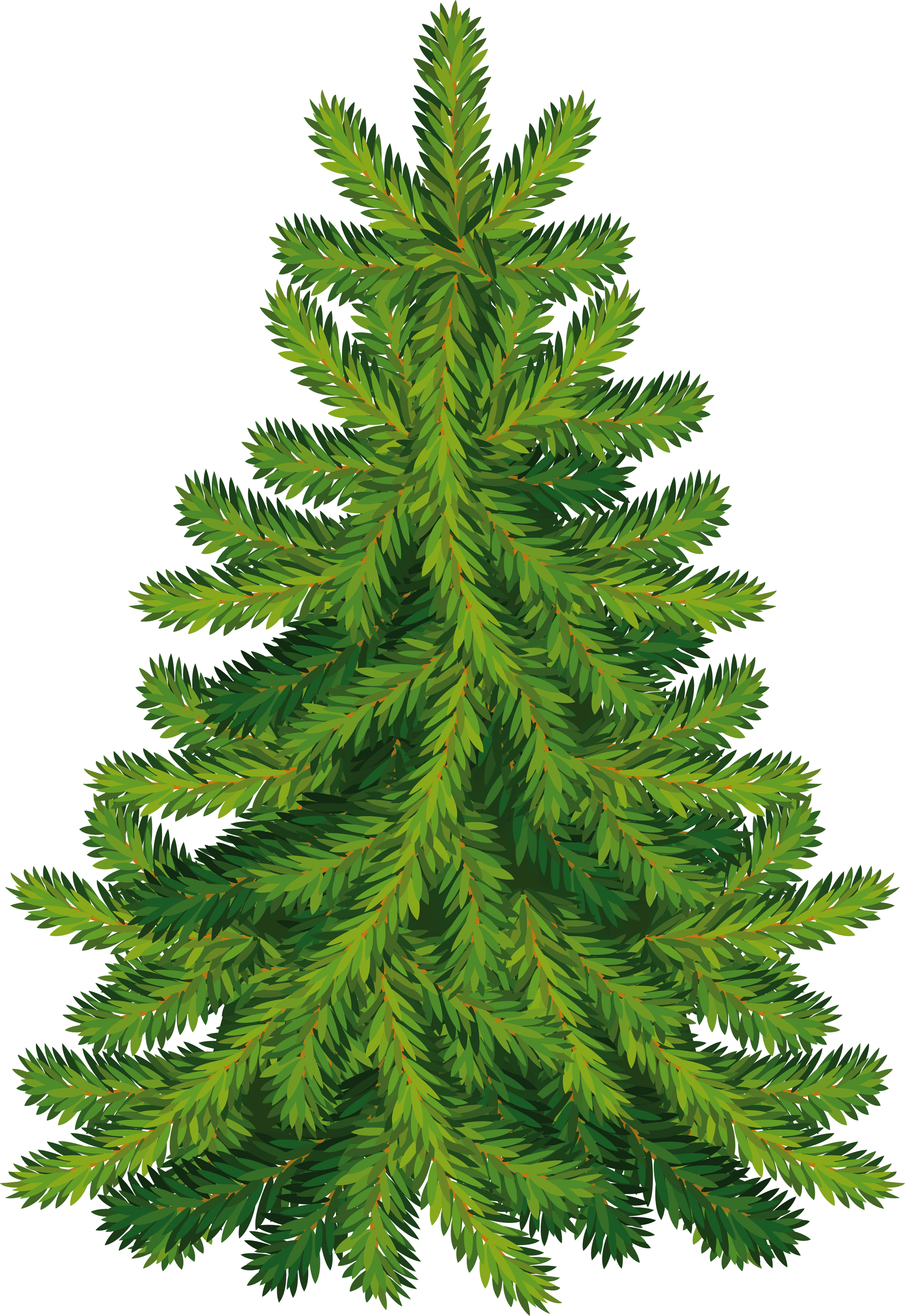 Fir-Tree Transparent PNG Image