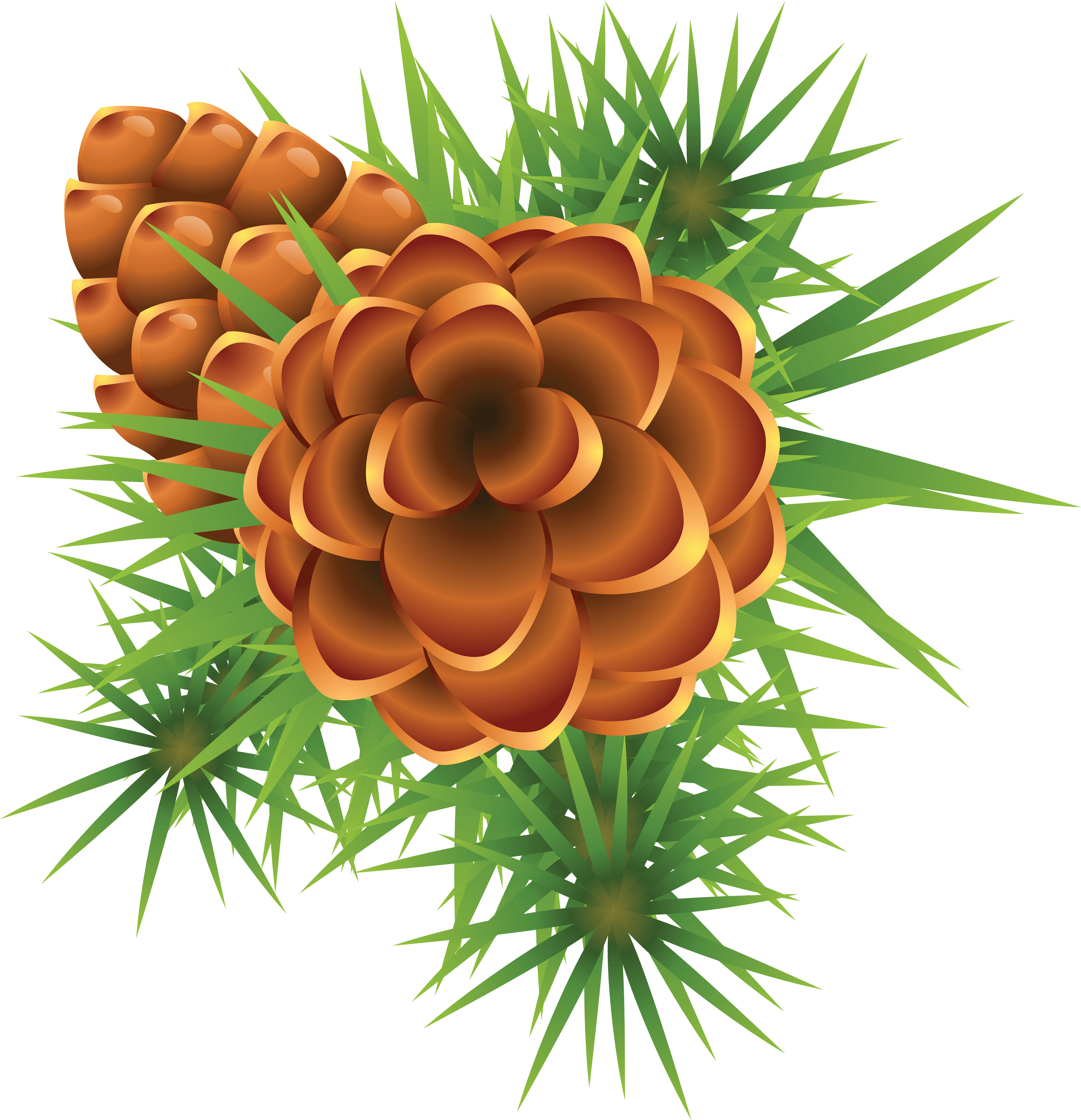 Fir-Tree Transparent PNG Image