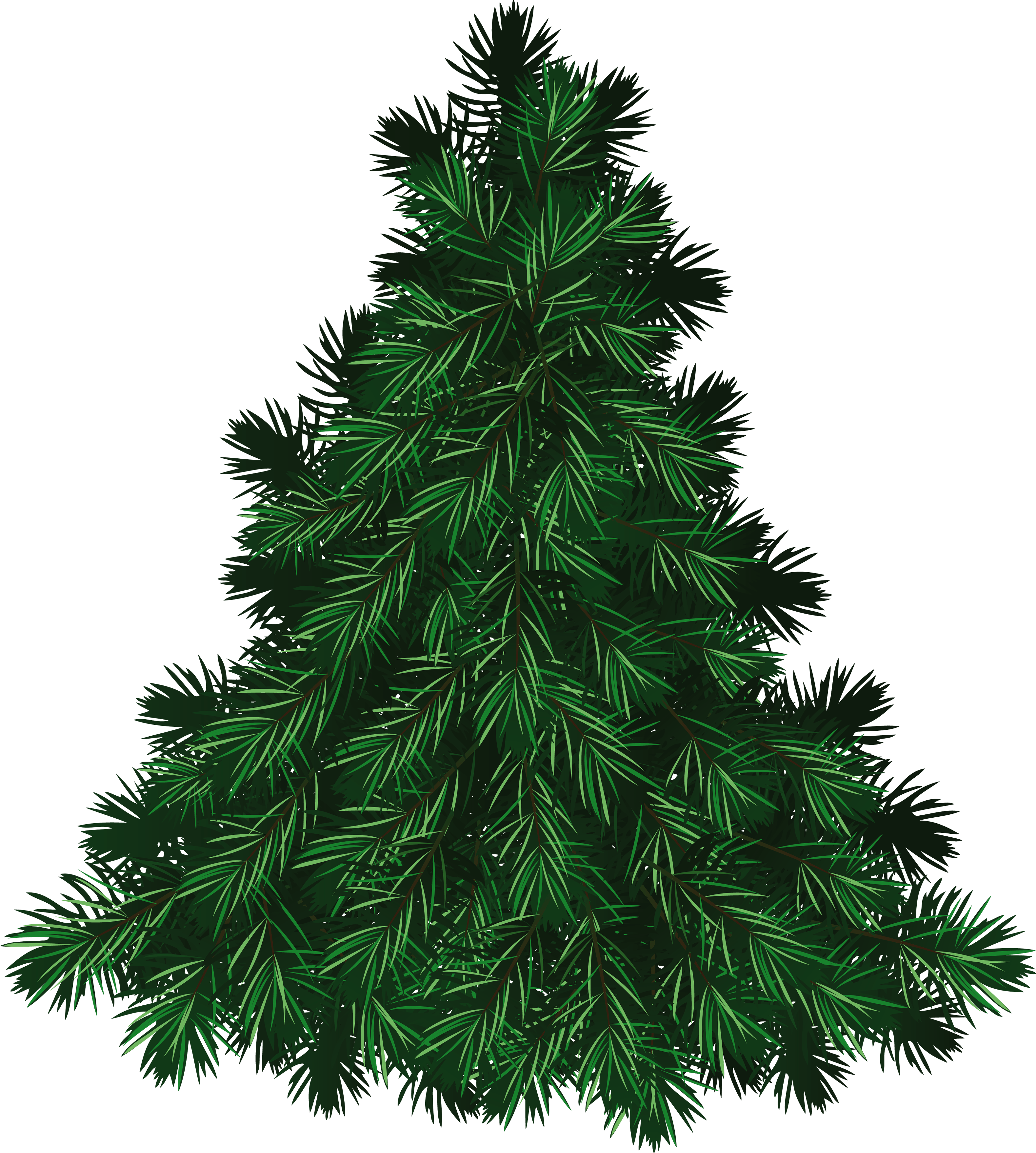 Green Fir-Tree Transparent PNG Image