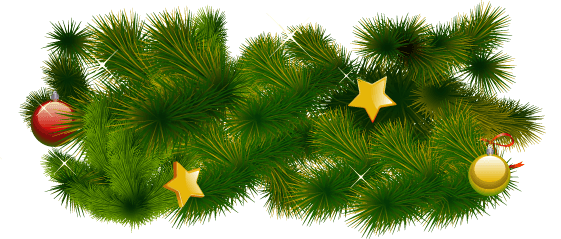 Fir-Tree Transparent PNG Image
