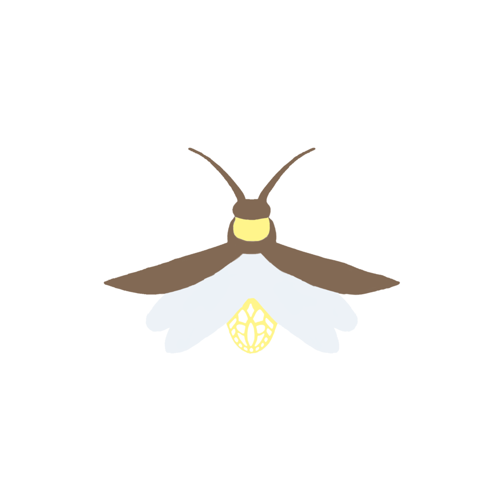 Firefly Background Transparent PNG Image