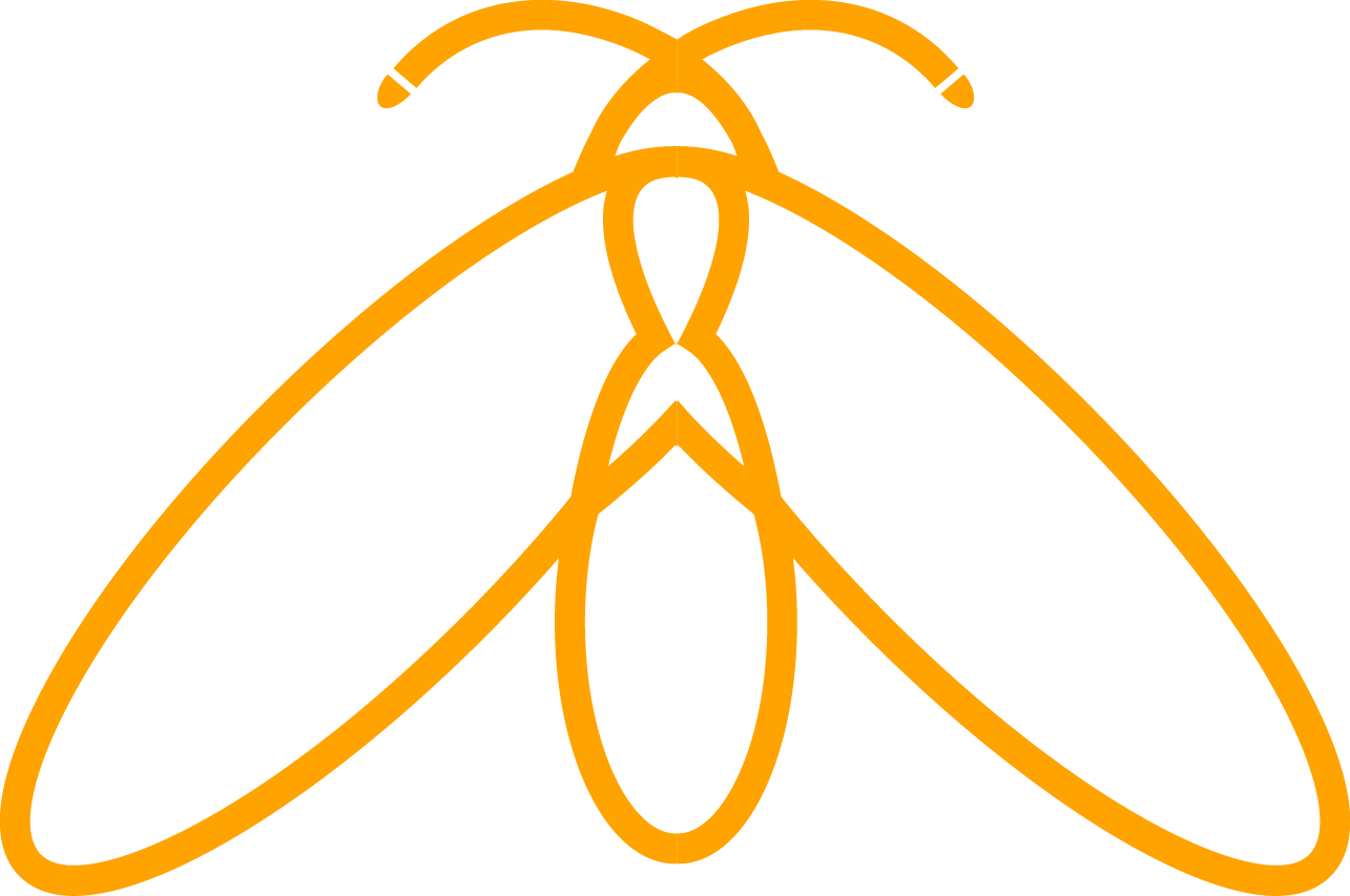 Firefly Transparent PNG Image