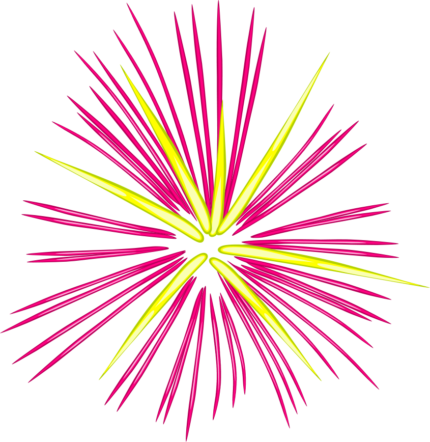 Pink Fireworks Vector Transparent PNG Image