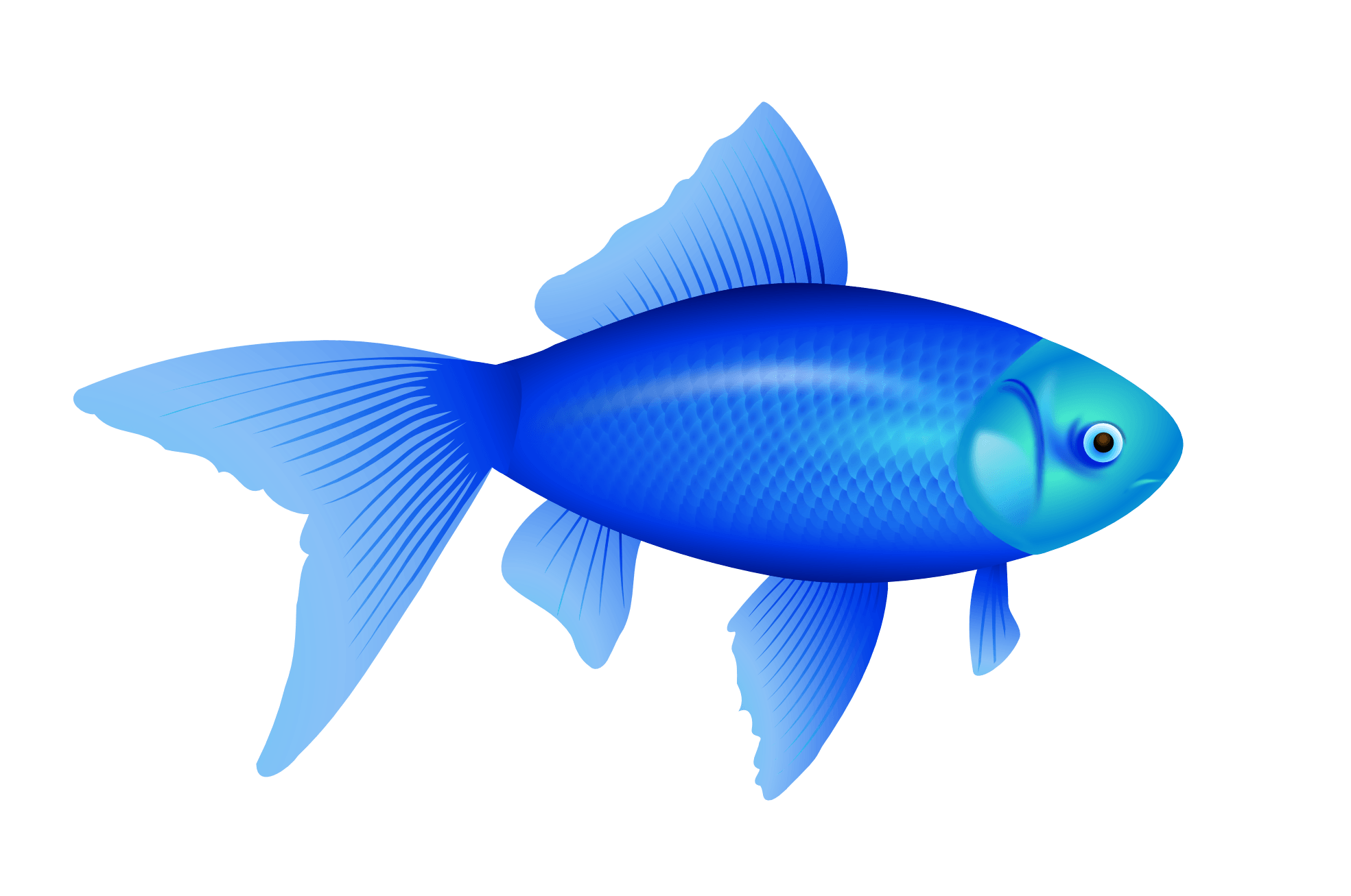 Blue Fish Transparent PNG Image