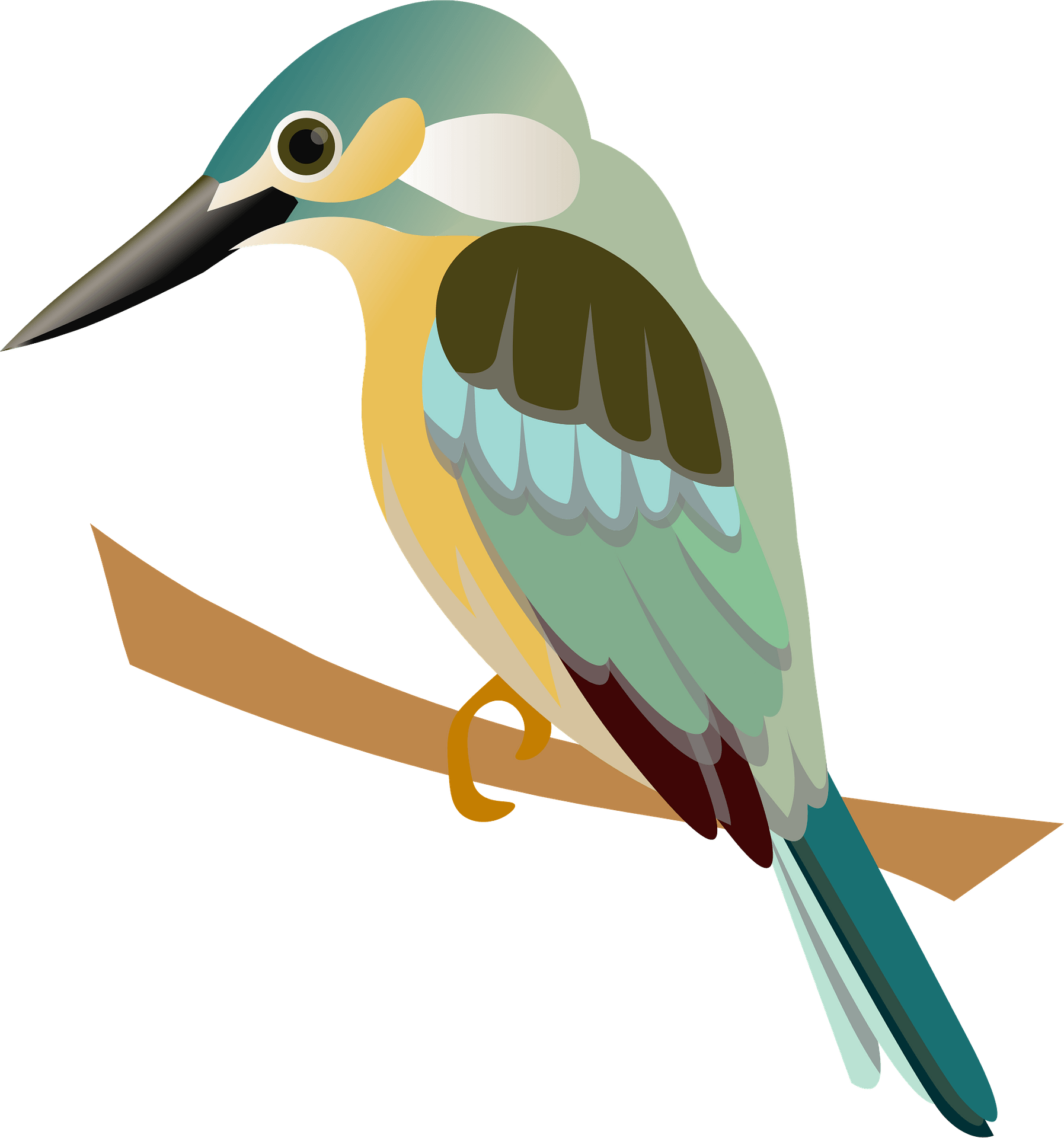 Kingfisher Bird Beak Transparent PNG Image