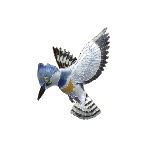 Kingfisher Bird Transparent PNG Image