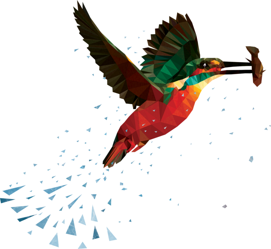 Kingfisher Bird Transparent PNG Image