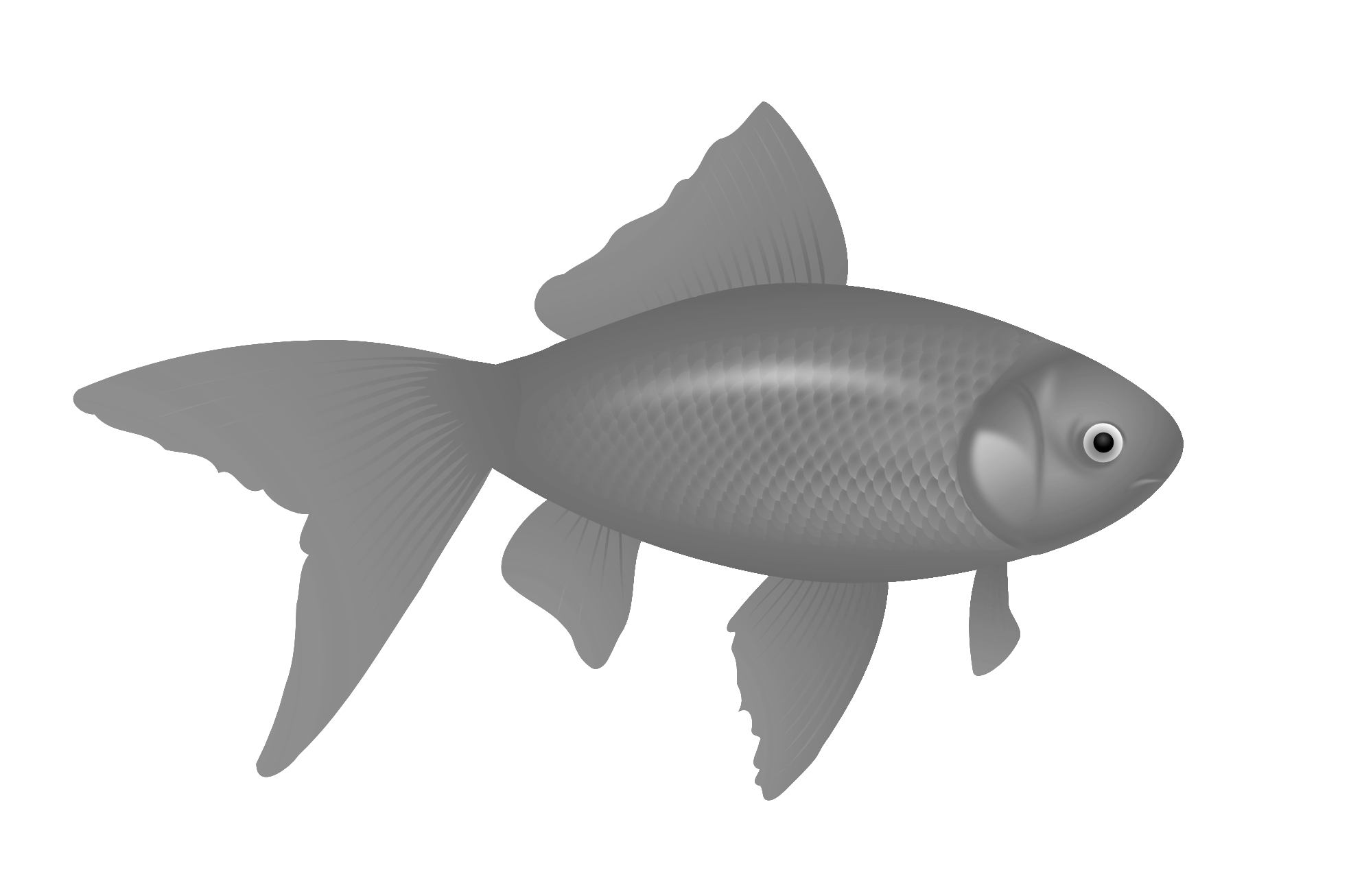 Fish Transparent PNG Image