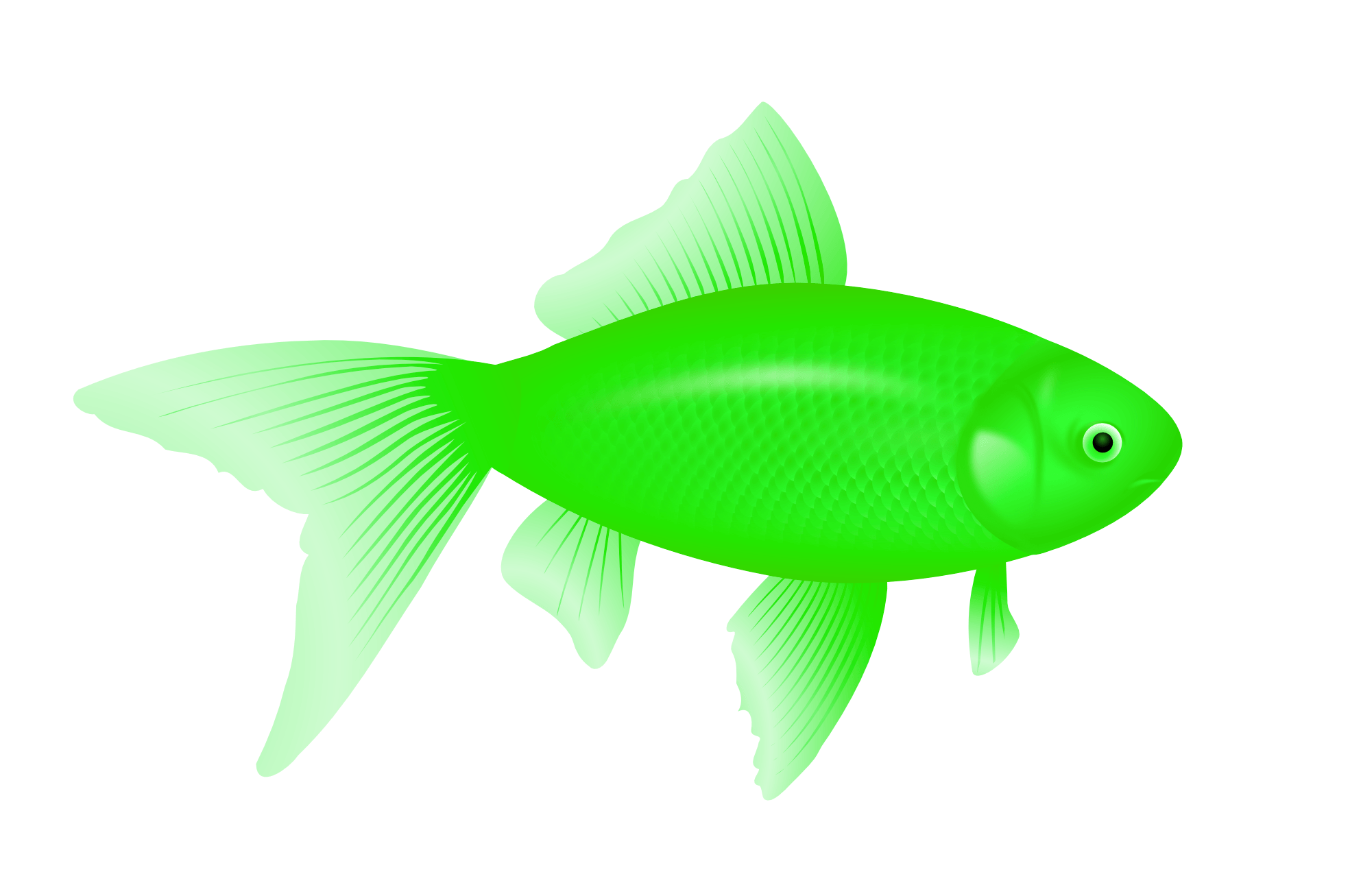 Green Fish Transparent PNG Image
