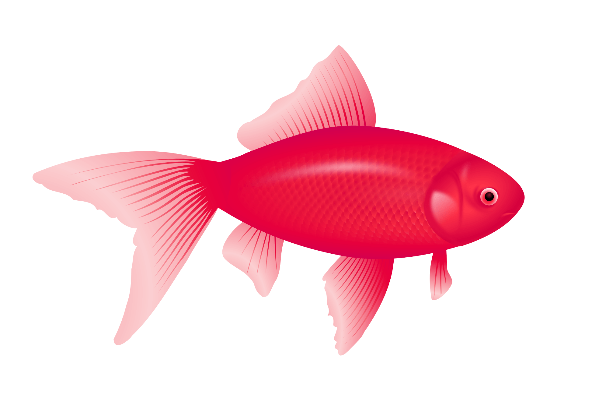 Purple Fish Transparent PNG Image