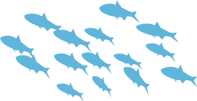 School Of Fish Transparent PNG Image