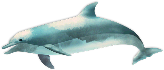 Ocean Fish Transparent PNG Image