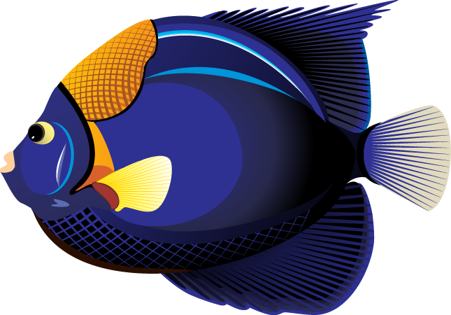 Ocean Fish Transparent PNG Image