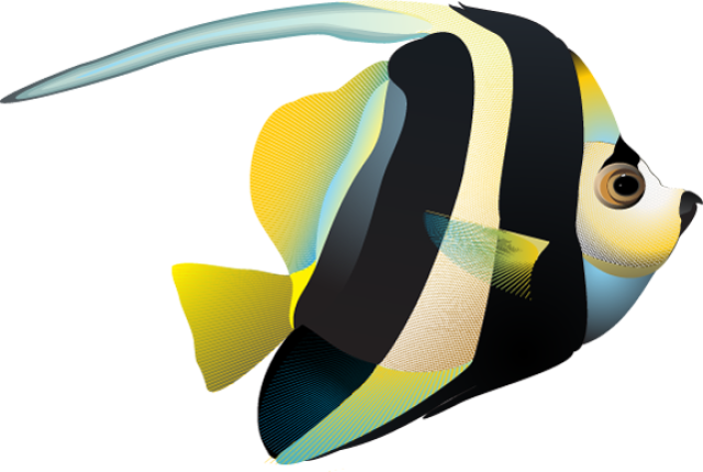 Ocean Fish Transparent PNG Image