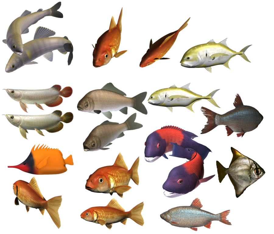 School Of Fish Transparent PNG Image