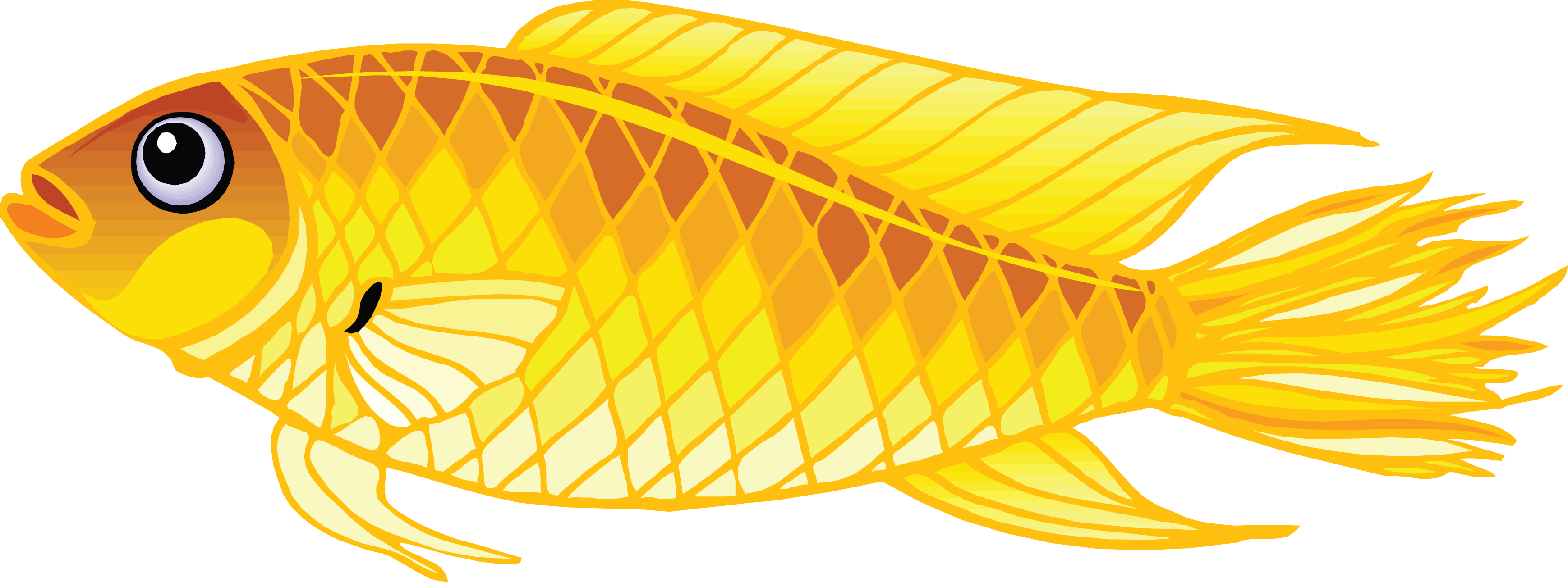 Gold Fish Transparent PNG Image