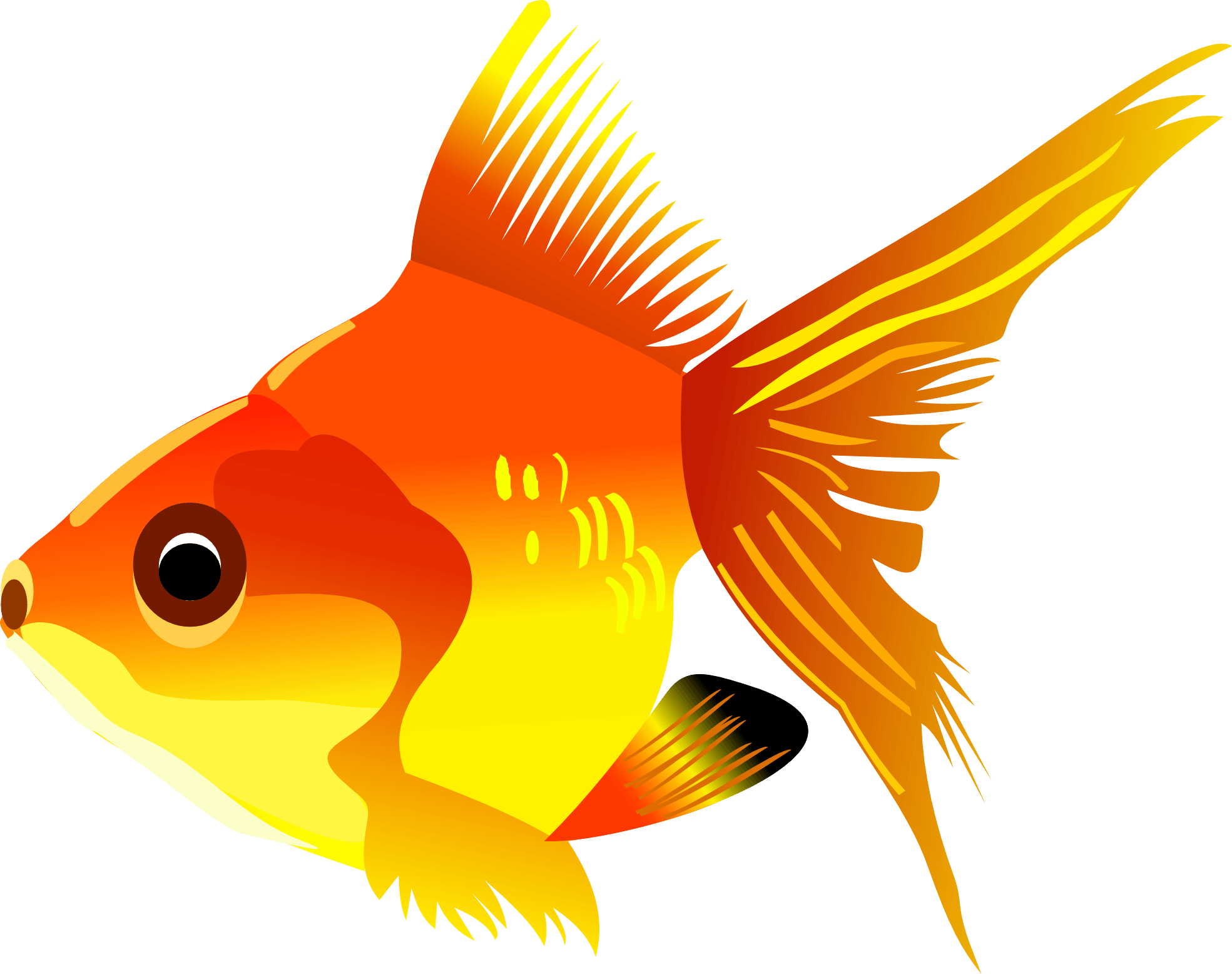 Gold Fish Transparent PNG Image