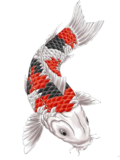Fish Tattoos Transparent PNG Image