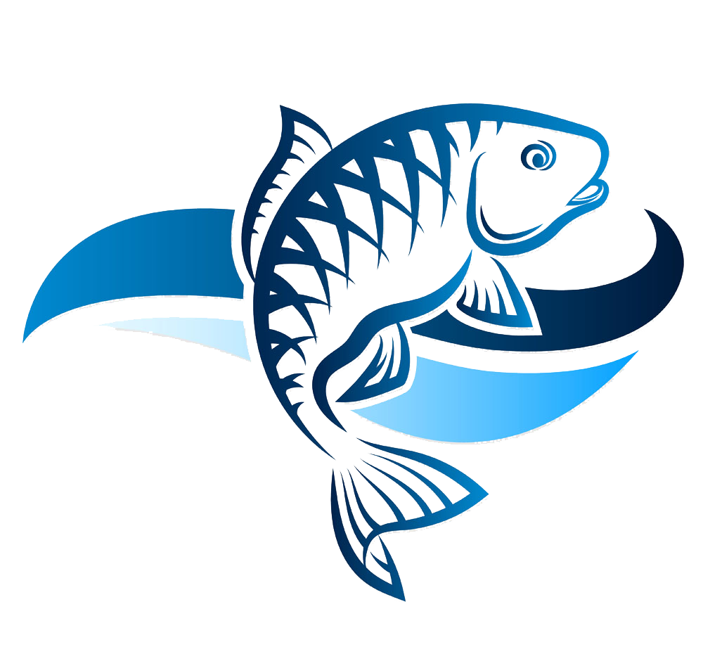 Fish Icon Fishing Exquisite Royalty- Transparent PNG Image