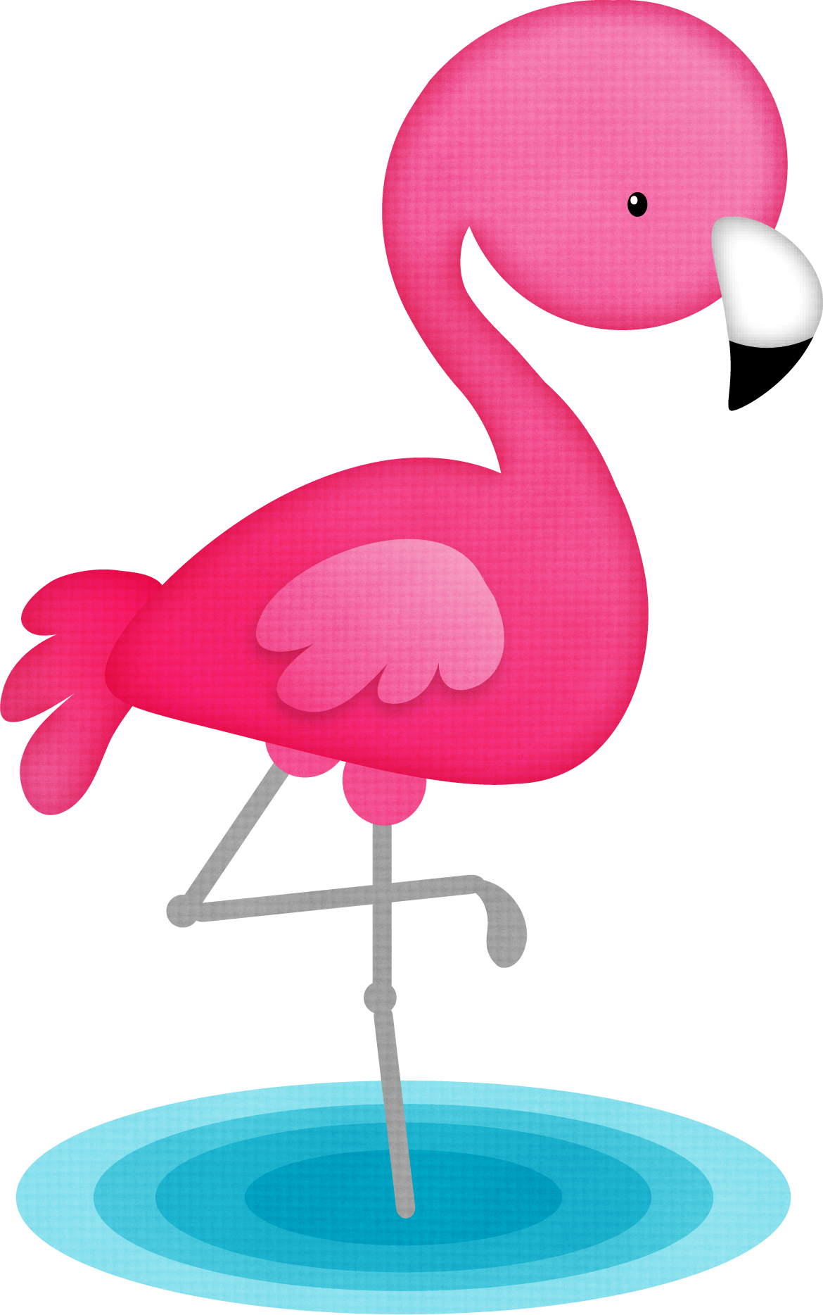 Vector Flamingo Bird Transparent PNG Image