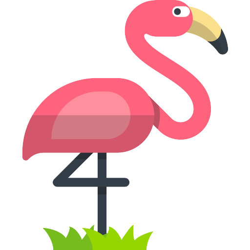 Vector Flamingo Bird Transparent PNG Image