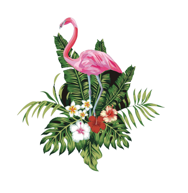 Vector Flamingo Bird Flower Transparent PNG Image