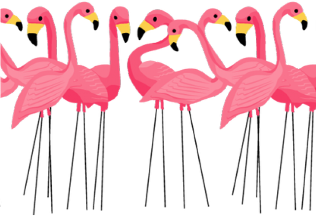 Vector Flamingo Love Bird Transparent PNG Image