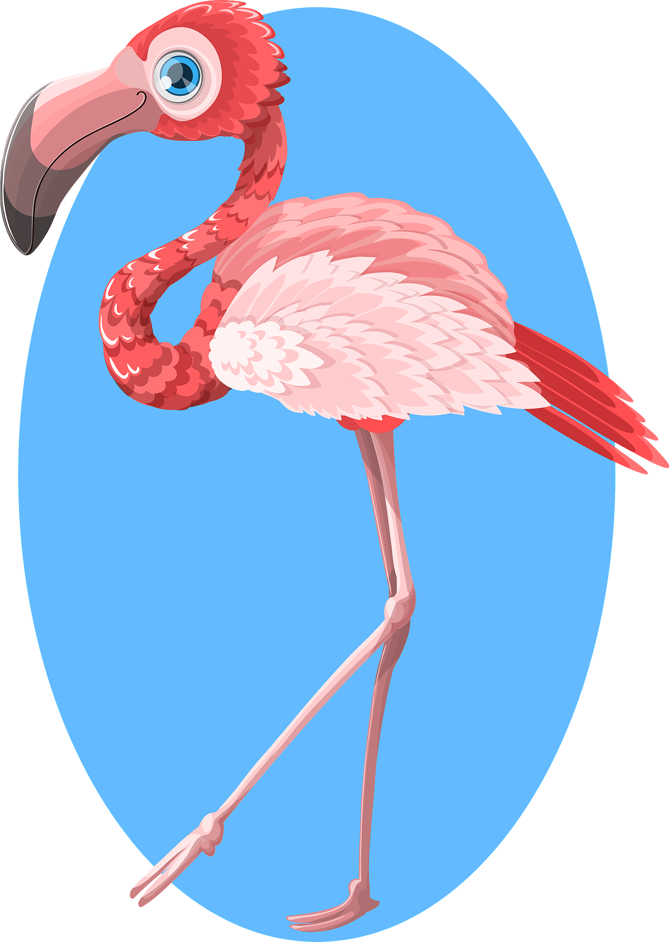 Vector Pink Flamingo Bird Transparent PNG Image