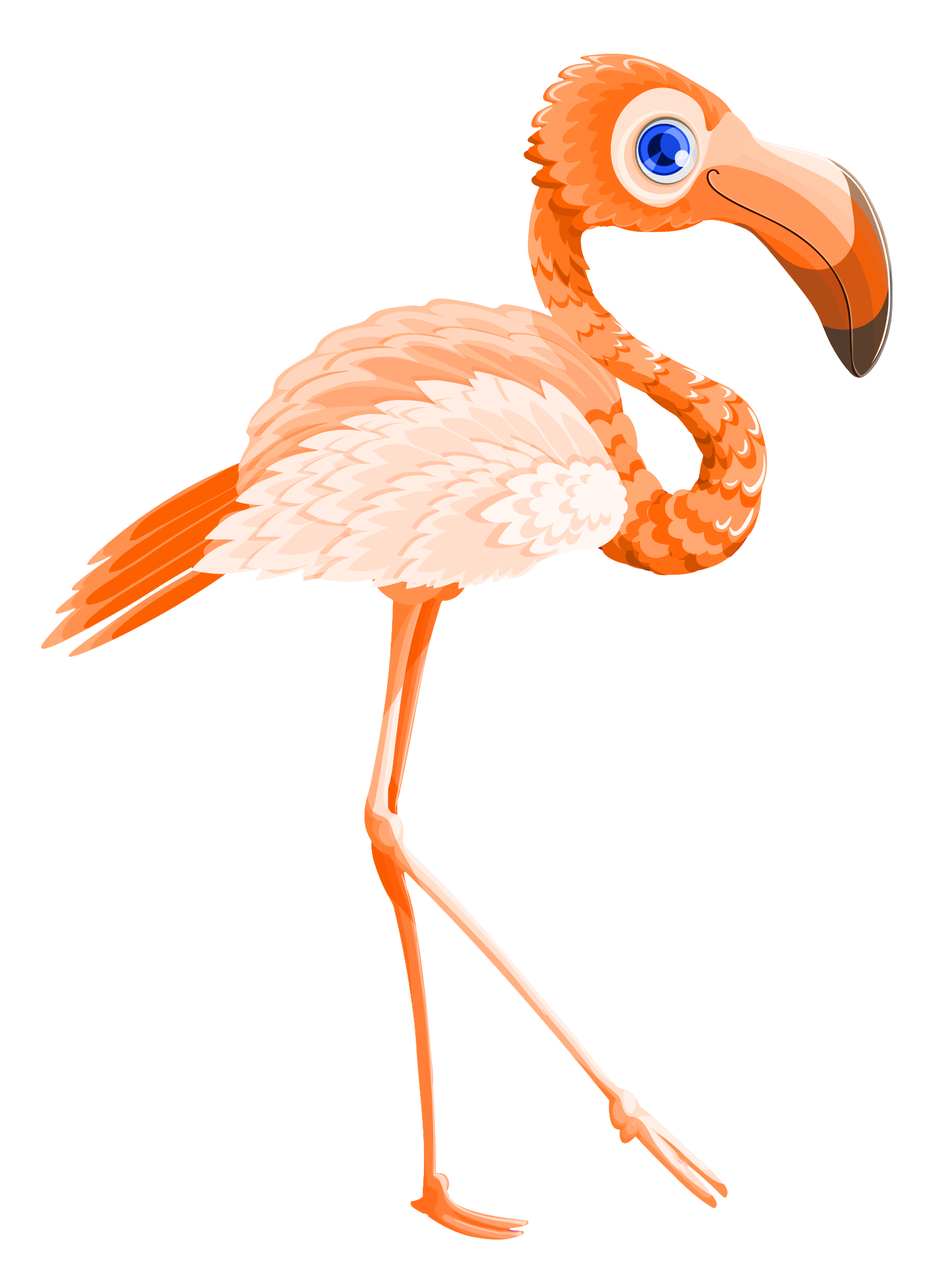 Vector Walking Flamingo Bird Transparent PNG Image